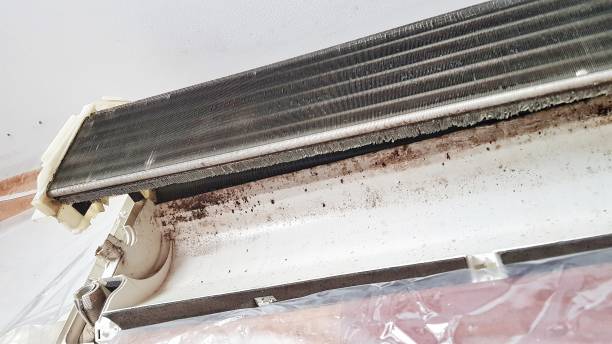 https://www.istockphoto.com/photo/dirty-air-conditioner-blower-fan-and-coil-cause-of-illness-gm1212117374-351768409?utm_source=pexels&utm_medium=affiliate&utm_campaign=sponsored_photo&utm_content=srp_inline_media&utm_term=super%20dirty%20air%20conditioner%20chemical%20overhaul