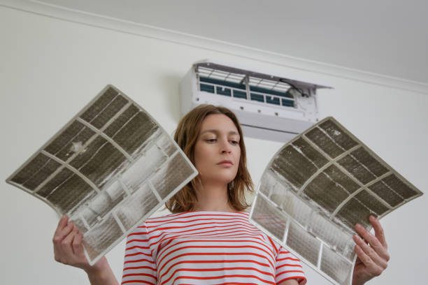 https://www.istockphoto.com/photo/woman-holding-very-dirty-air-conditioner-filters-gm1321144257-407463984?utm_source=pexels&utm_medium=affiliate&utm_campaign=sponsored_photo&utm_content=srp_inline-test3c_media&utm_term=new%20and%20old%20aircon