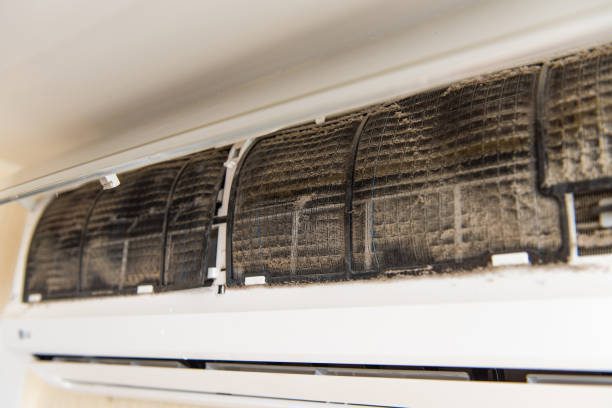 https://www.istockphoto.com/photo/air-conditioning-without-front-panel-gm959536892-262025398?utm_source=pexels&utm_medium=affiliate&utm_campaign=sponsored_photo&utm_content=srp_inline_media&utm_term=mold%20aircon%20filters