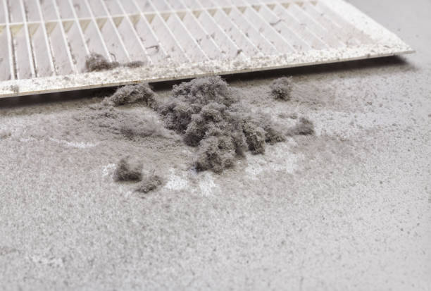 https://www.istockphoto.com/photo/dust-collected-from-the-air-duct-filter-gm1146748161-309108498?utm_source=pexels&utm_medium=affiliate&utm_campaign=sponsored_photo&utm_content=srp_inline_media&utm_term=aircon%20mould